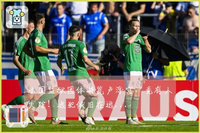 法国监狱团体游览卢浮宫，竟有人失踪！逃犯依旧在逃...